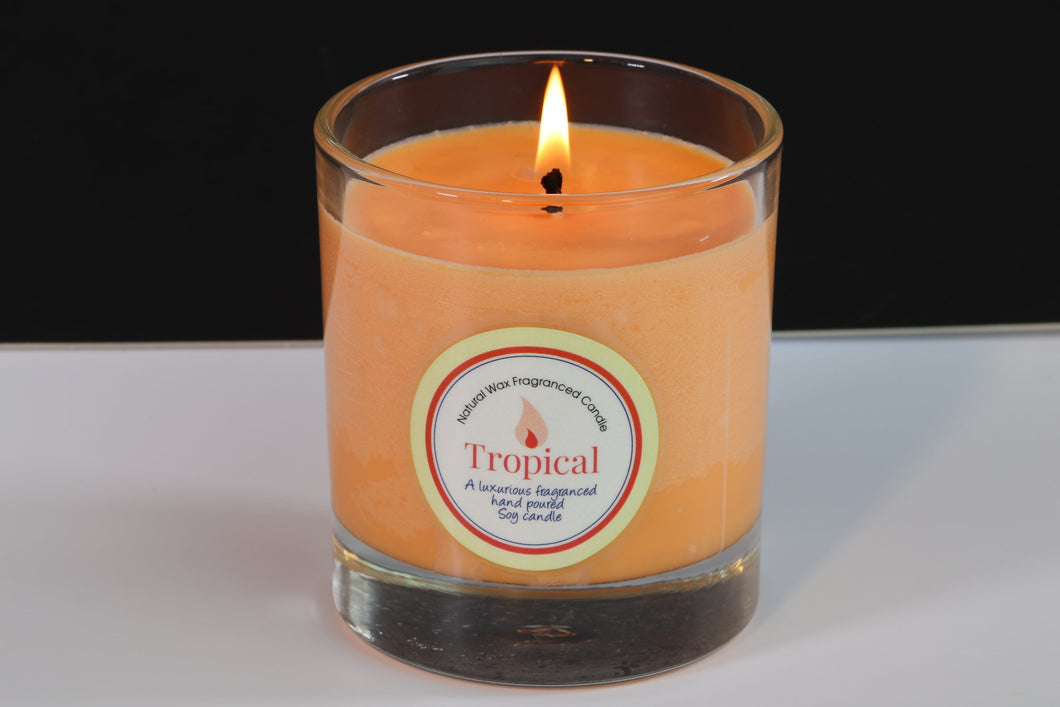 Tropical Scented Soy Wax Glass Container Candle